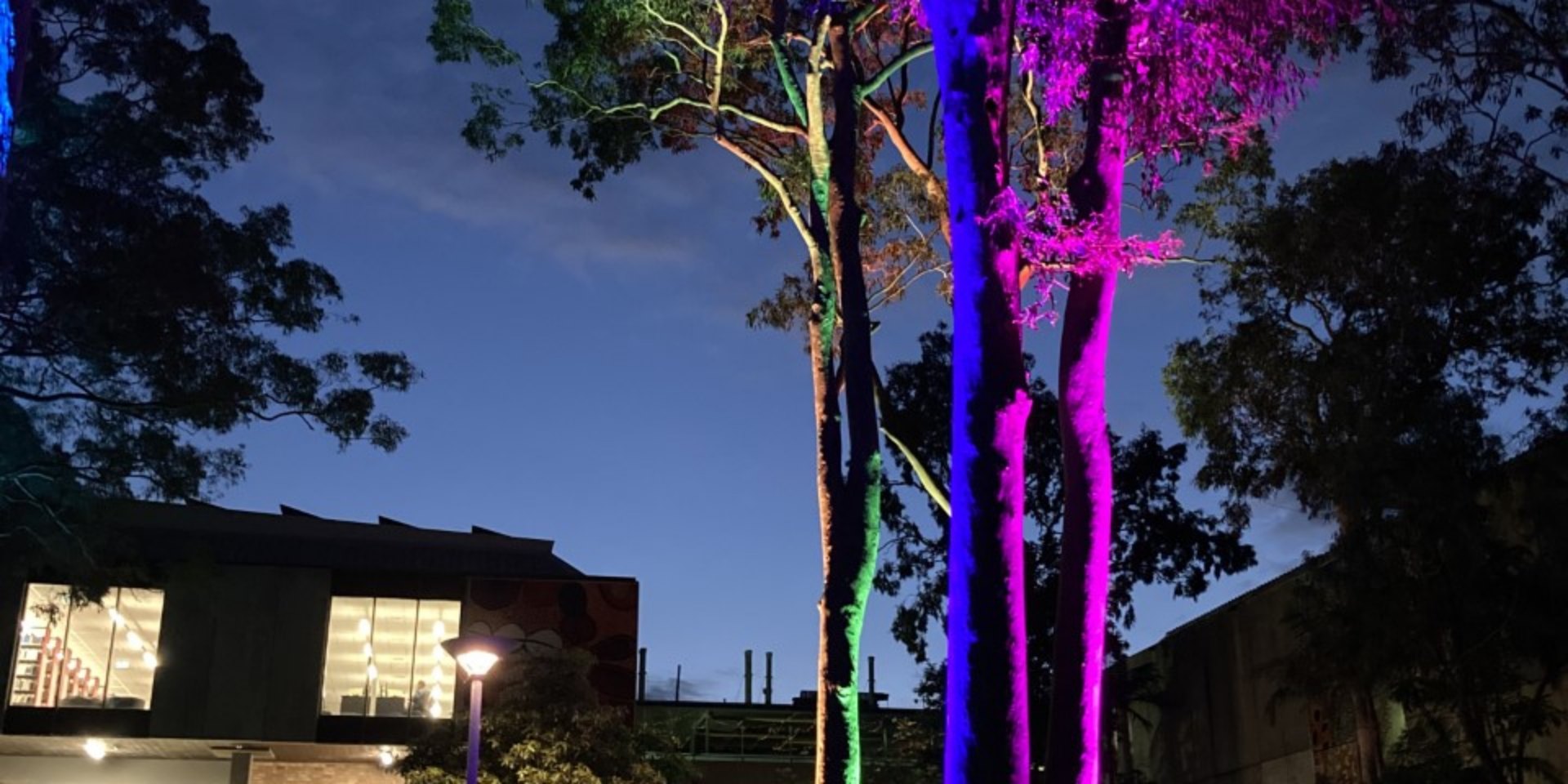 Auchmuty Library at Callaghan campus, University of Newcastle